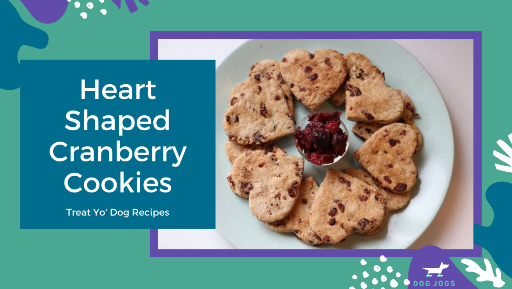 heart shaped cranberry cookie dog treats