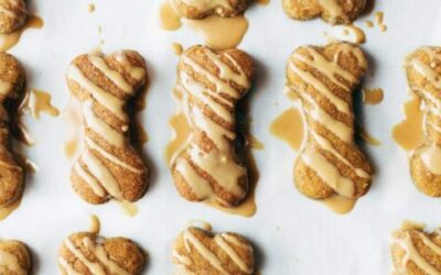 5 Homemade Dog Treat Recipes for Your Best Friend