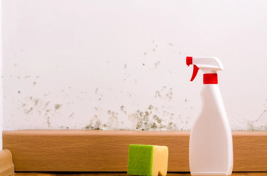 cleaning solution for mold