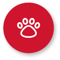 Wildlife intrusion prevention
